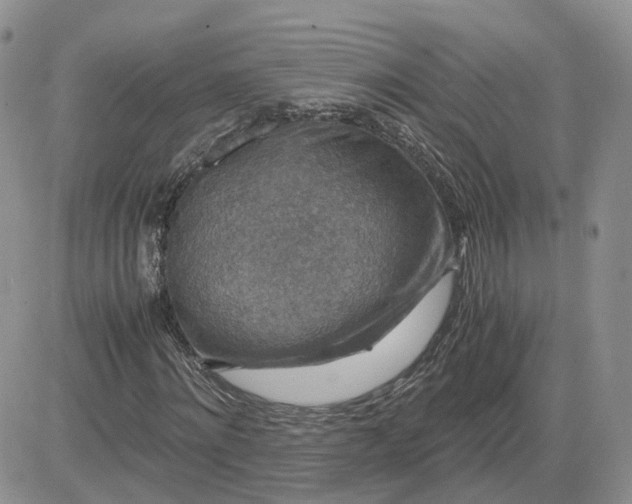 X0000081470868200701262000