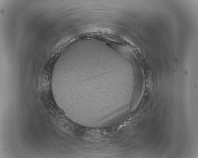 X0000081470869200701262000