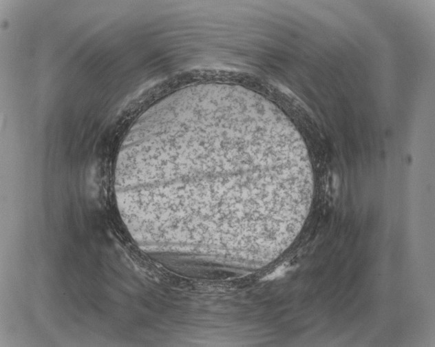 X0000081470870200701262000