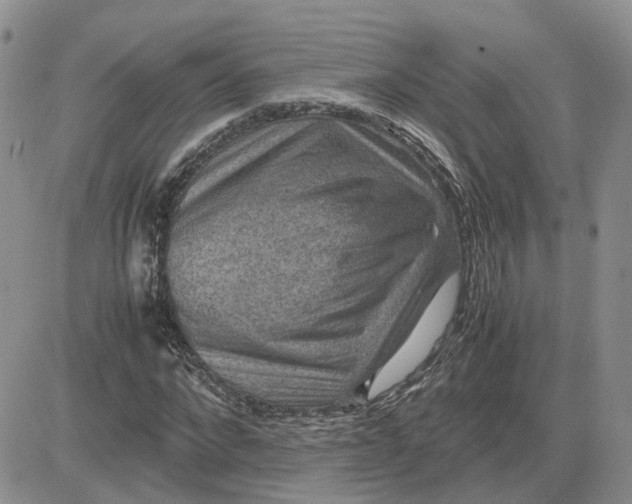 X0000081470872200701262000