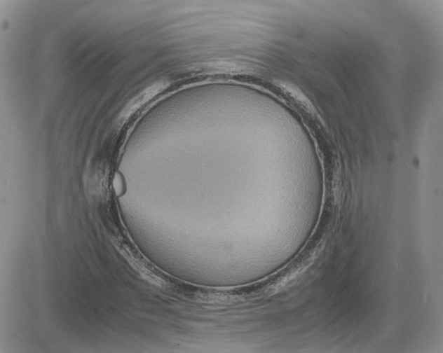 X0000081470873200701262000