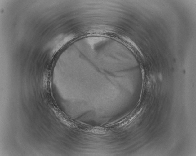 X0000081470874200701262000