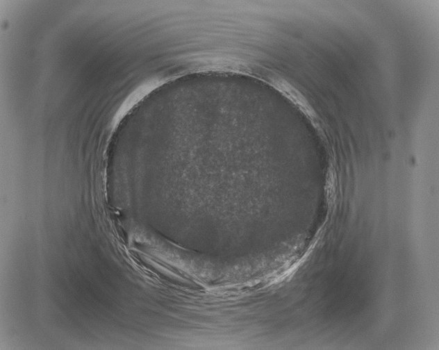 X0000081470877200701262000