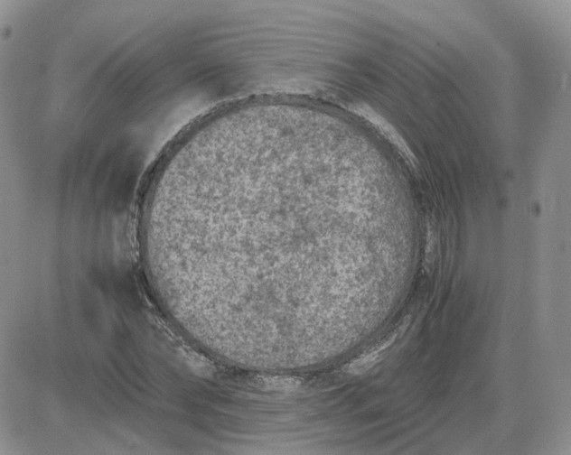 X0000081470878200701262000