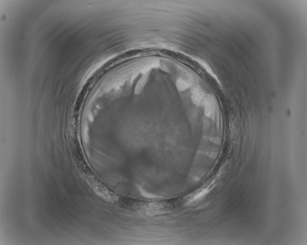 X0000081470879200701262000