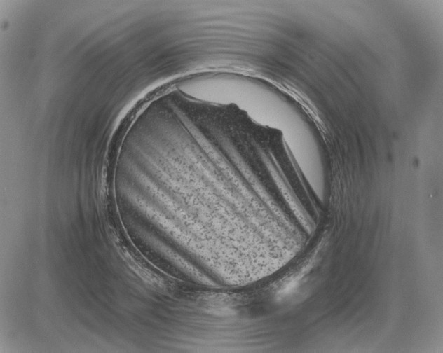 X0000081470880200701262000