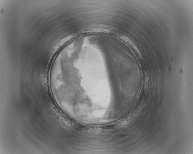 X0000081470882200701262000