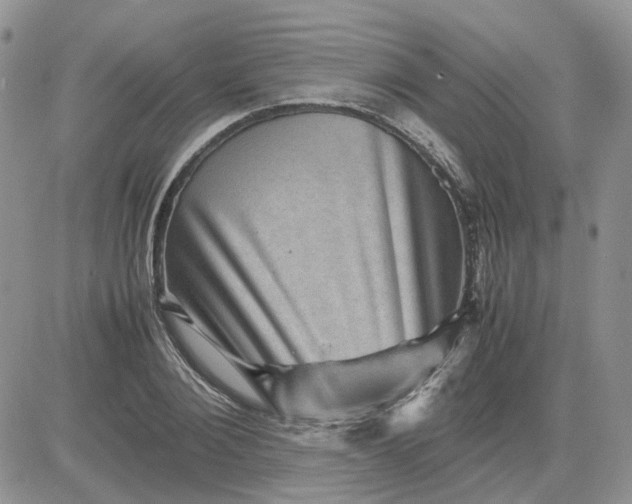 X0000081470884200701262000