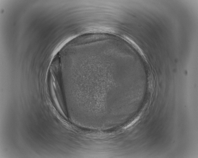 X0000081470885200701262000