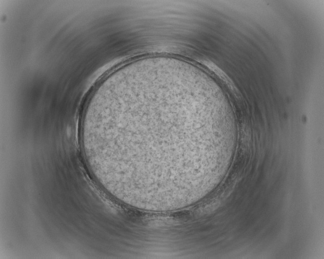 X0000081470886200701262000