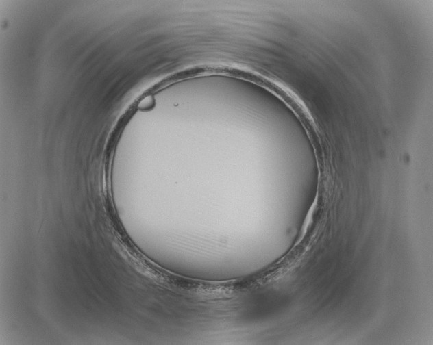 X0000081470887200701262000