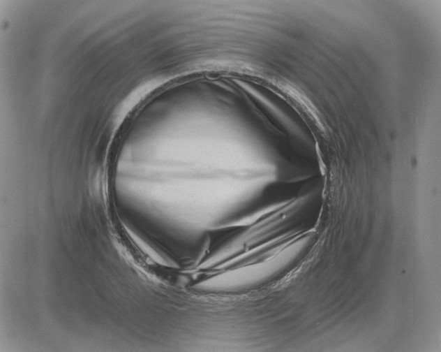 X0000081470888200701262000