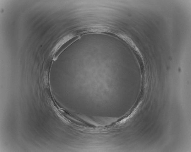 X0000081470889200701262000