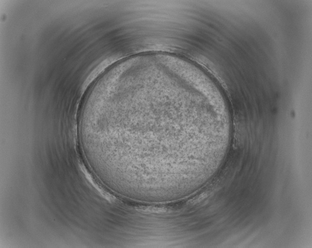 X0000081470890200701262000