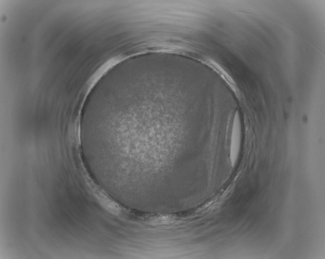 X0000081470891200701262000