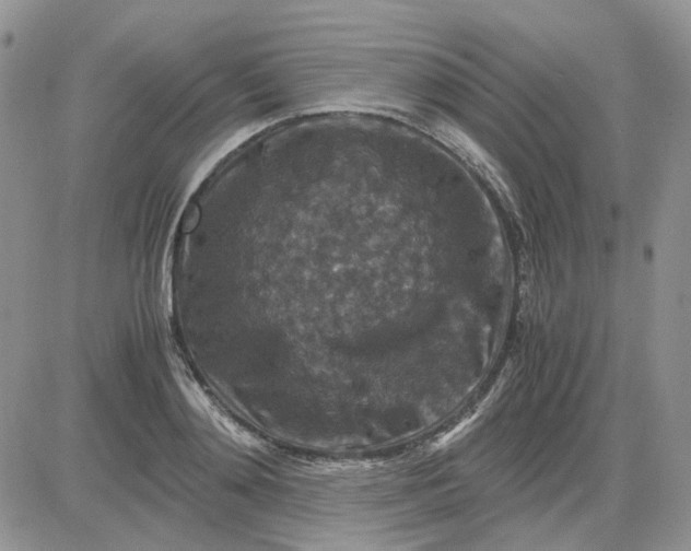 X0000081470892200701262000