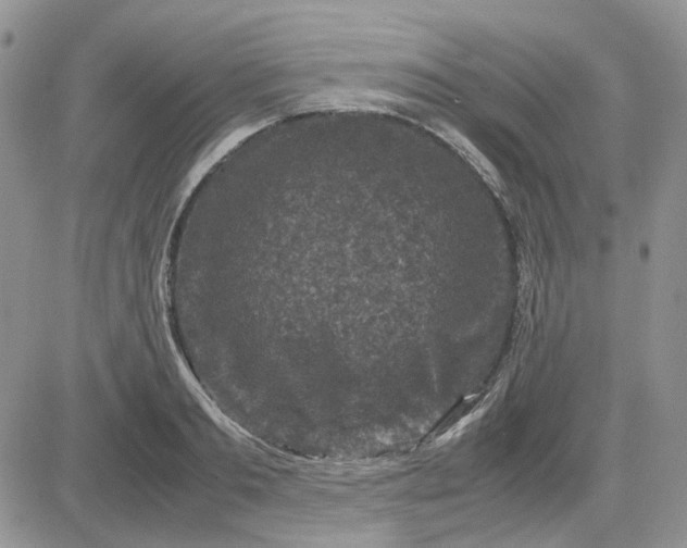 X0000081470893200701262000