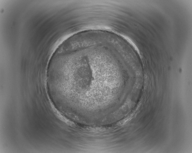 X0000081470895200701262000