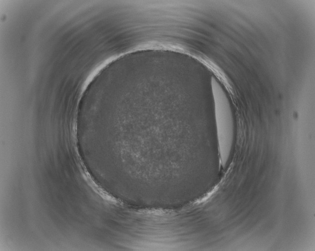 X0000081470896200701262000