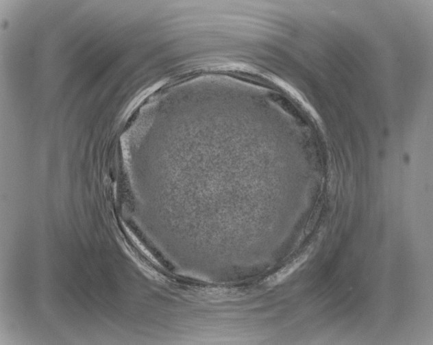 X0000081470897200701262000