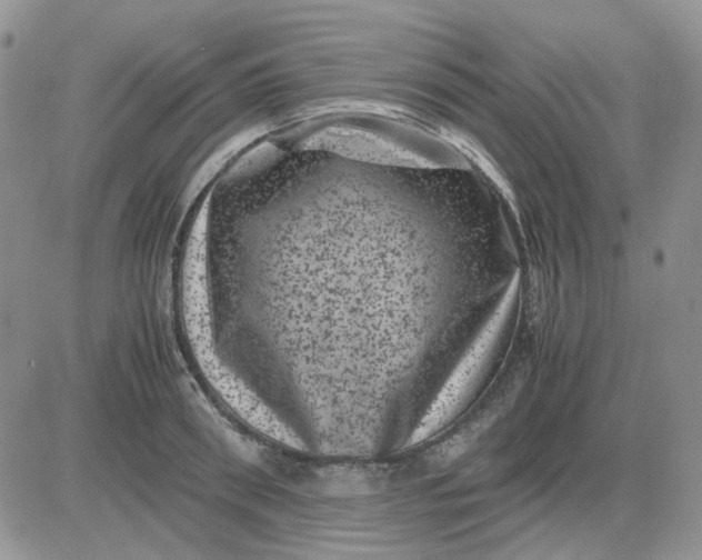 X0000081470898200701262000