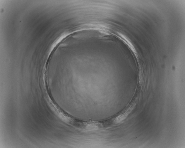 X0000081470899200701262000