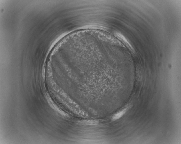 X0000081470900200701262000