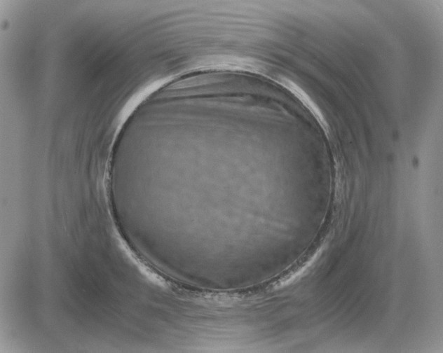 X0000081470901200701262000