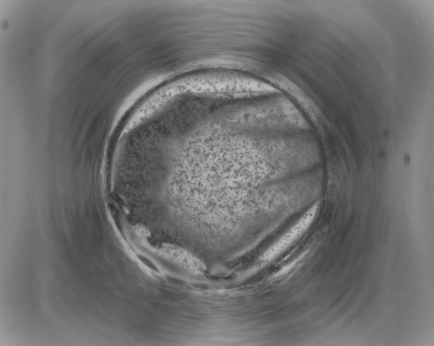 X0000081470902200701262000