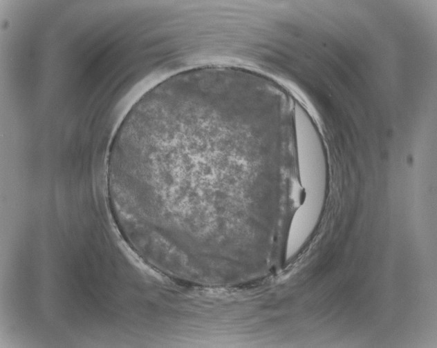 X0000081470903200701262000