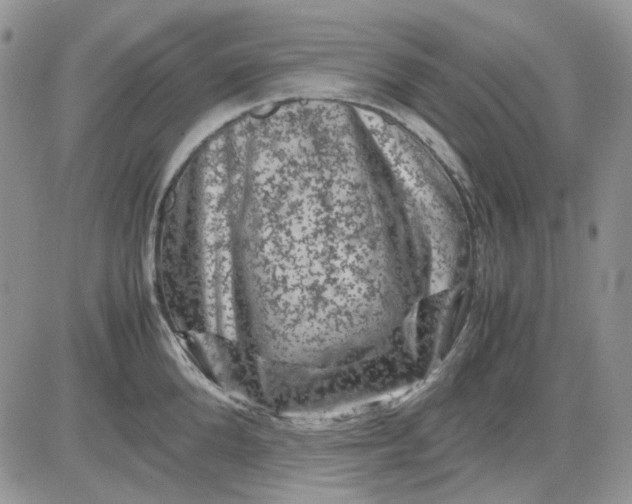 X0000081470904200701262000