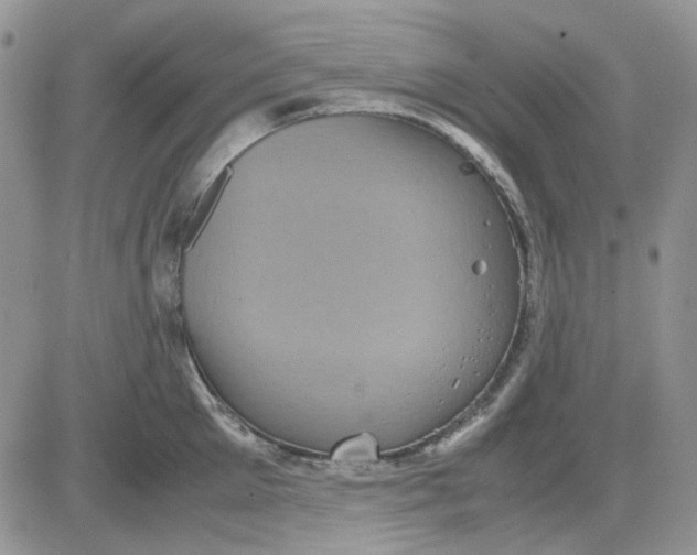 X0000081470905200701262000