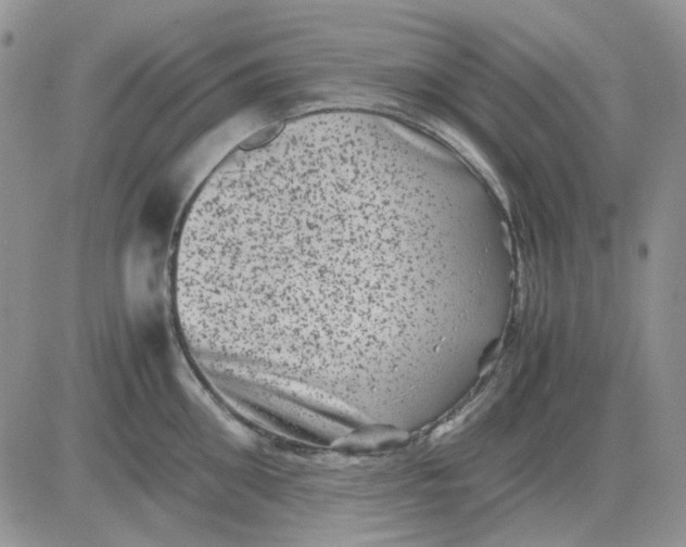 X0000081470906200701262000