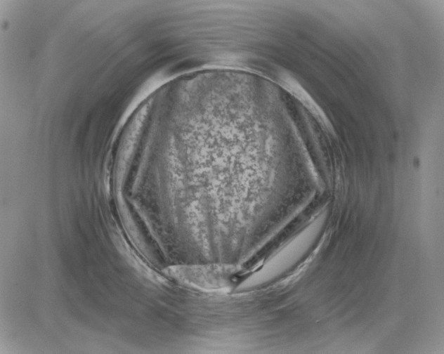 X0000081470908200701262000