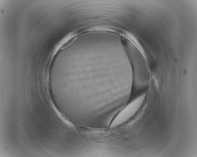 X0000081470909200701262000