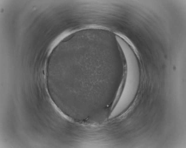 X0000081470910200701262000