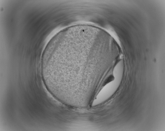 X0000081470911200701262000