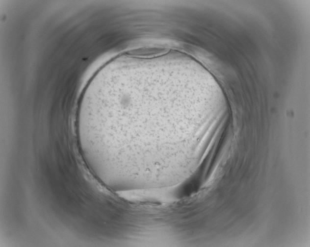 X0000081470912200701262000