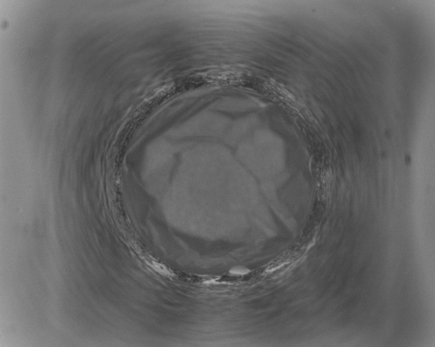 X0000081470913200701261959