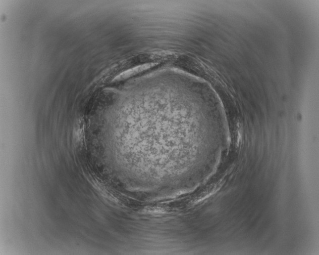 X0000081470914200701261959