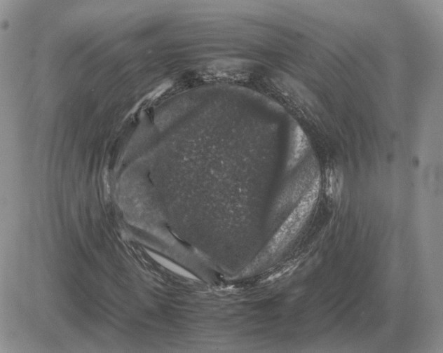 X0000081470915200701261959