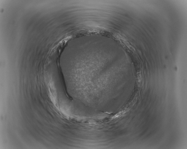 X0000081470916200701261959