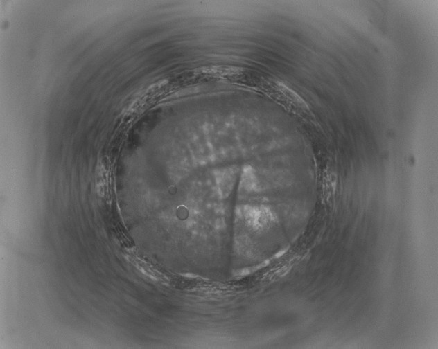 X0000081470917200701261959