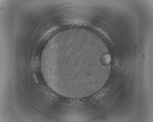 X0000081470918200701261959