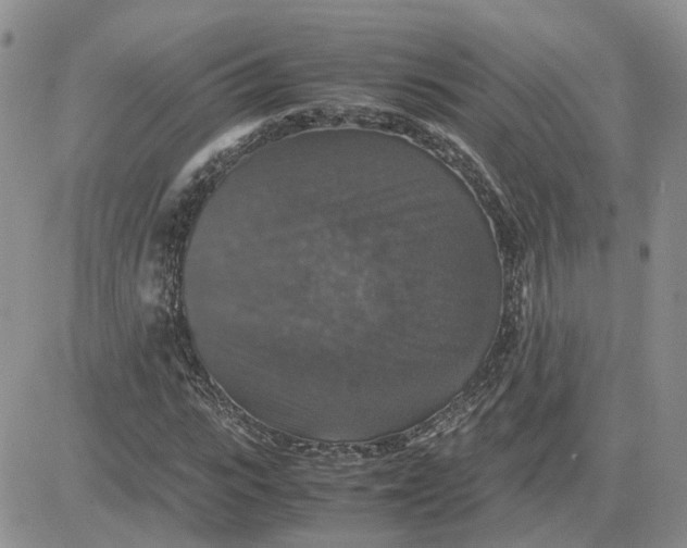 X0000081470919200701261959