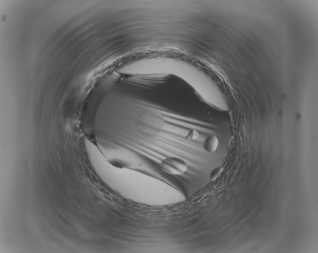 X0000081470920200701261959