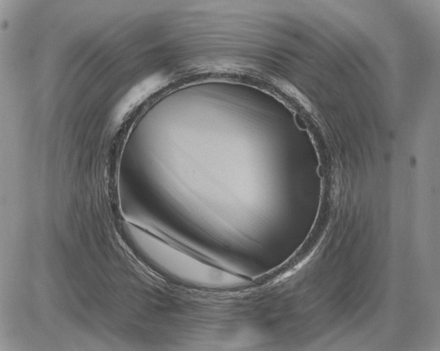 X0000081470922200701261959