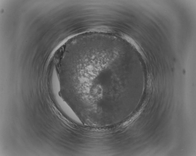 X0000081470923200701261959