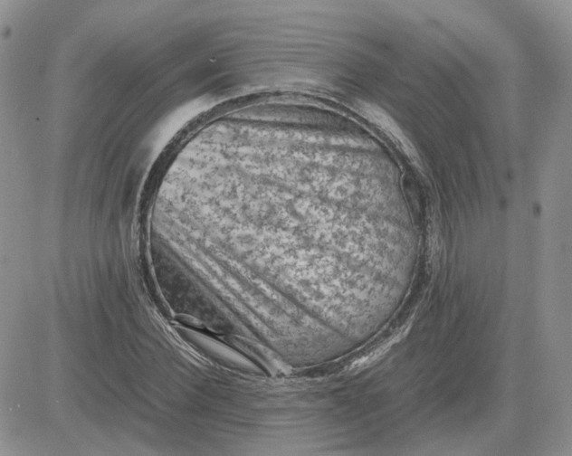 X0000081470924200701261959