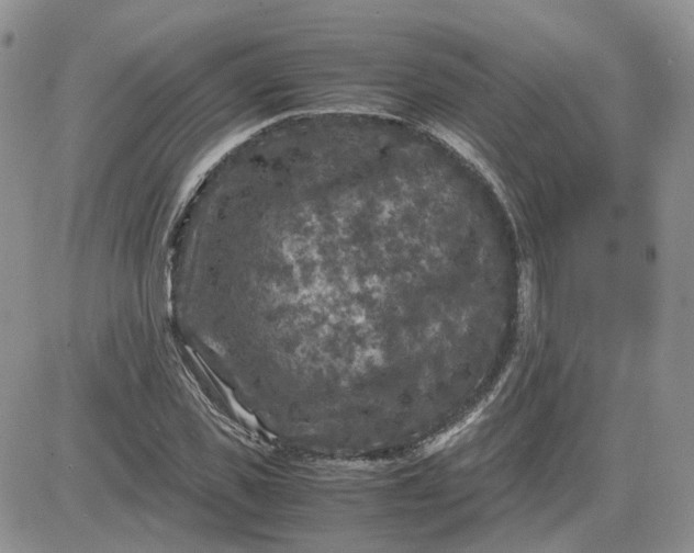 X0000081470925200701261959